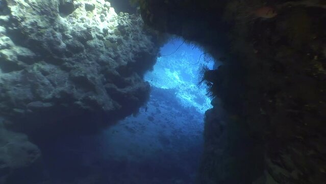 Underwater cave inside coral reef with secrets of Red Sea. Diving in underwater cave of Red Sea.