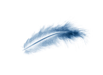 blue feather