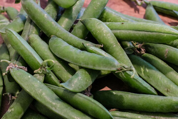 petit pois