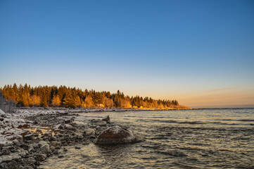 A countryside snowy frozen seashore with sunset through the horizon surrounded by pine trees under the blue sky