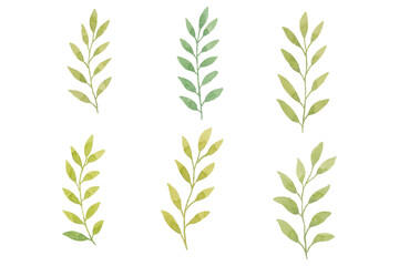 Watercolor leaves illustration set - green leaf branches collection for wedding, greetings, stationary, wallpapers, fashion, background. olive, green leaves, Eucalyptus etc
