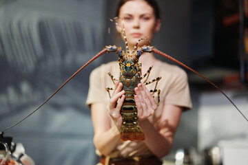 Woman holding live lobster in hands in front of kitchen, preparing for seafood meal cooking