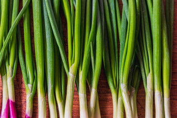 fresh green onion 