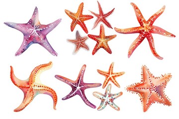 Watercolor Starfish Clip Art Set: Vibrant Ocean and Coral Illustrations with a Nature-Inspired