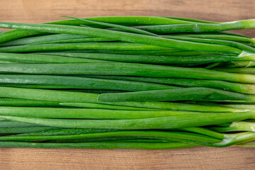 Fototapeta premium fresh green onion 