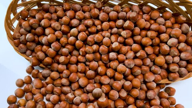 Hazelnuts come out of  wicker basket on white background, Dolly shot in top view on round gentle hazelnuts from Langhe, Italy