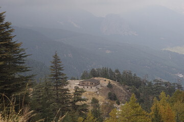 a lonely wooden house stands in a forest among mountains and rocks