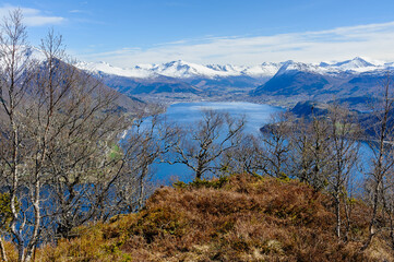A picturesque view of snow-capped mountains behind the tranquil fjord surrounded by lush springtime...
