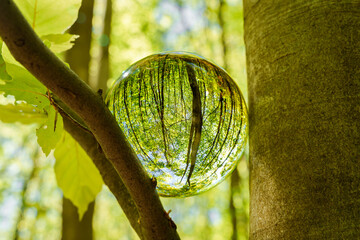 Springtime forest with sun shining through crystal lensball leaves and branches. Nature, forestry,...