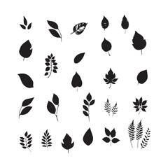 Flowers and leaves of the jungle. 
Vector illustration.