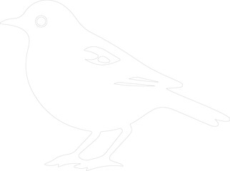 American Robin outline