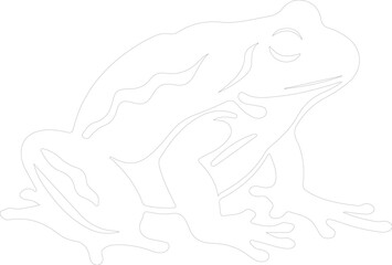 amphibian outline