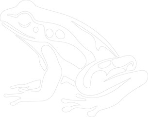 Obraz premium amphibian outline