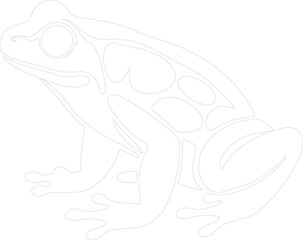 amphibian outline