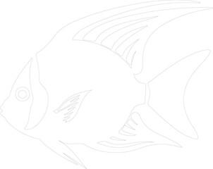 angelfish outline