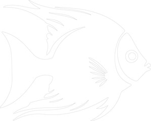 Fototapeta premium angelfish outline