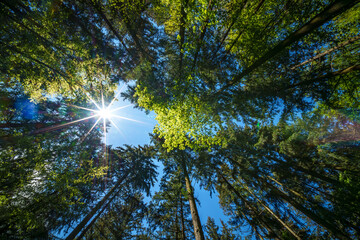 Fototapety na wymiar - Fototapeta24.pl