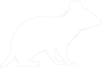 Obraz premium bandicoot outline