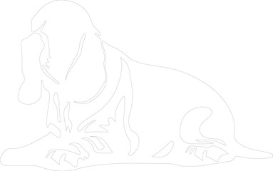 basset hound outline