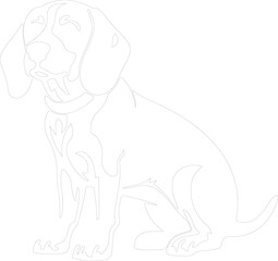 Obraz premium beagle outline