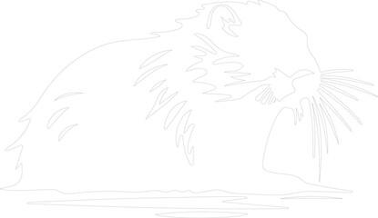Fototapeta premium beaver outline