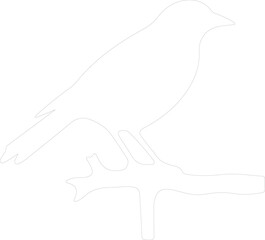 bird outline