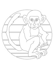 Monkey Coloring Page. Wild Animal Coloring Page for Kids Who love jungles and wildlife