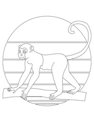 Monkey Coloring Page. Wild Animal Coloring Page for Kids Who love jungles and wildlife