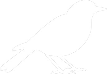 Fototapeta premium blackbird outline