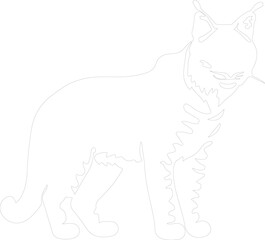 Obraz premium bobcat outline