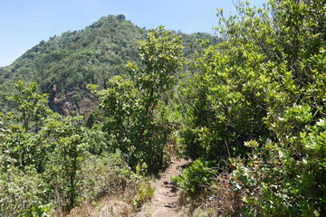 Fototapeta na wymiar Wanderweg am Cerro Piedra Blanca in den Bergen von Escazú Berglandschaft bei San José in Costa Rica