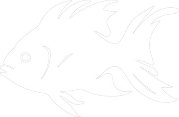bonyfish outline