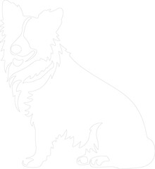 bordercollie outline