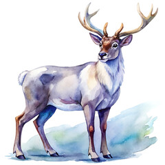 Naklejka na ściany i meble There is a deer that is standing in the watercolor