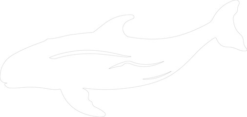 Fototapeta premium bowheadwhale outline