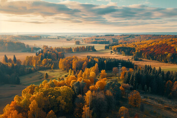 aerial view of an autumnal landscape