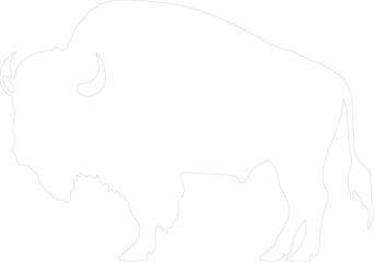 buffalo outline