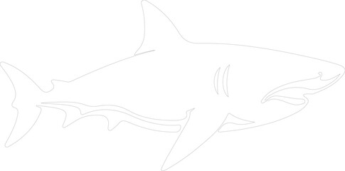 Fototapeta premium bullshark outline