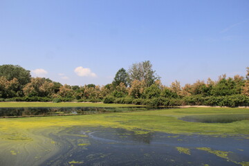 course in the morning albarella, italy