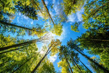 Fototapety na wymiar - Fototapeta24.pl