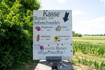 German language price tag in a pick your own flower farm