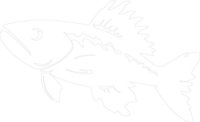 Obraz premium coelacanth outline
