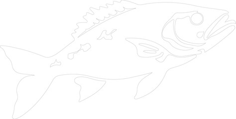 Obraz premium cod outline
