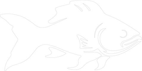 coelacanth outline