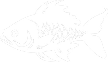Obraz premium coelacanth outline