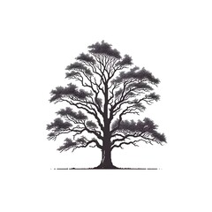 Fototapeta premium lone oak tree, presented as a detailed silhouette against a clear backdrop