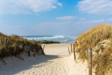 Un chemin à travers les dunes menant à la plage de la Torche, bordé d'oyats et de poteaux,...