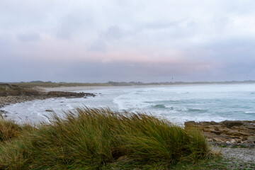 Coup de vent sur une plage du Finistère sud : oyats balayés par les vents, océan agité, une...