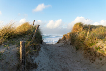 Chemin à travers les dunes, bordé de poteaux et d'oyats, offrant une vue sur l'océan et la plage de la Torche, capturant la beauté brute du littoral breton. - obrazy, fototapety, plakaty