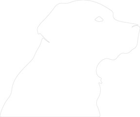 companiondog outline